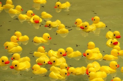 Yellow - Amanda Richards - Rubber Duckies