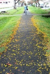 Yellow - Kwesi Anthony Isles - Yellowed Path
