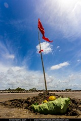 Offerings